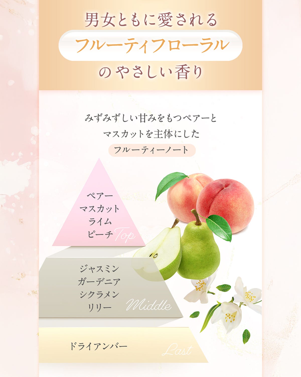 バストクリーム - 【公式】Angellir(アンジェリール)|ナイトブラ・機能