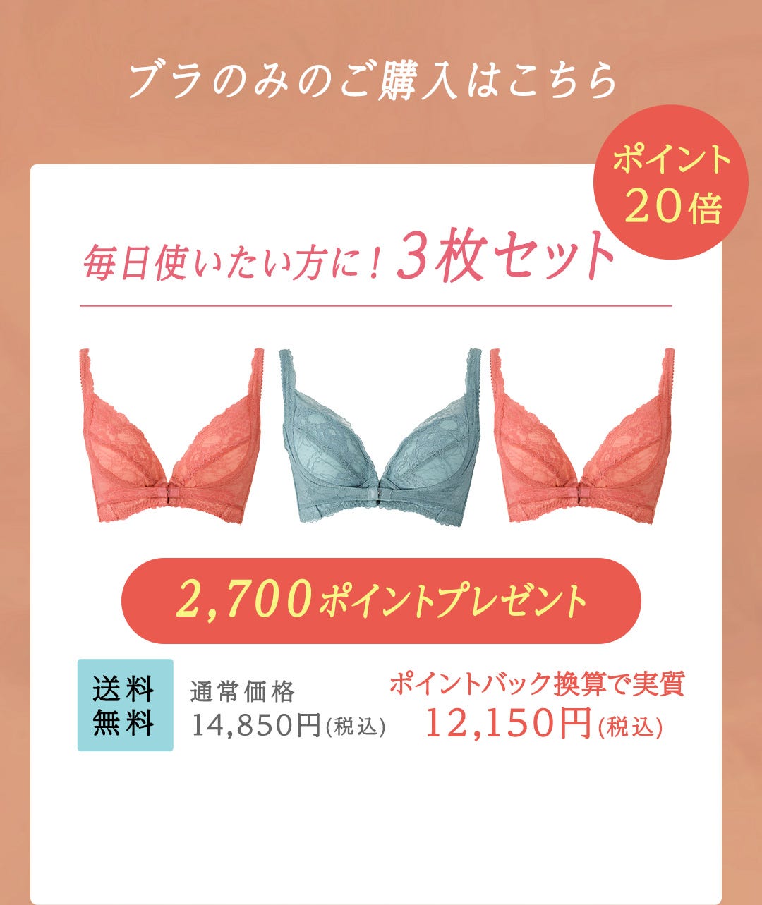 ブラのみのご購入はこちら ポイント20倍 毎日使いたい方に！3枚セット 2,700ポイントプレゼント 送料無料 通常価格 14,850円(税込) ポイントバック換算で実質 12,150円(税込)