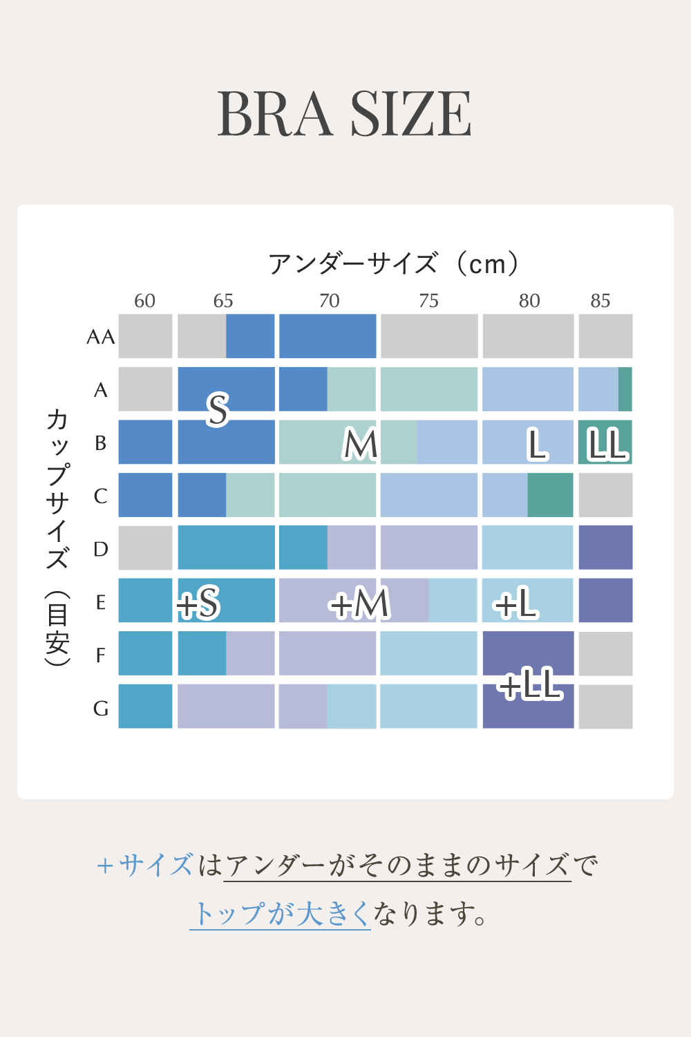 BRA SIZE ＋サイズはアンダーがそのままのサイズでトップが大きくなります。