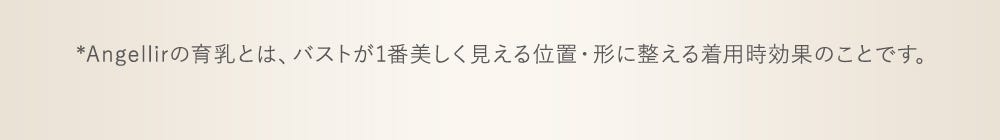 ※Angellirの育乳とは、バストが1番美しく見える位置・形に整える着用時効果のことです。