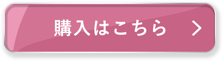 購入はこちら
