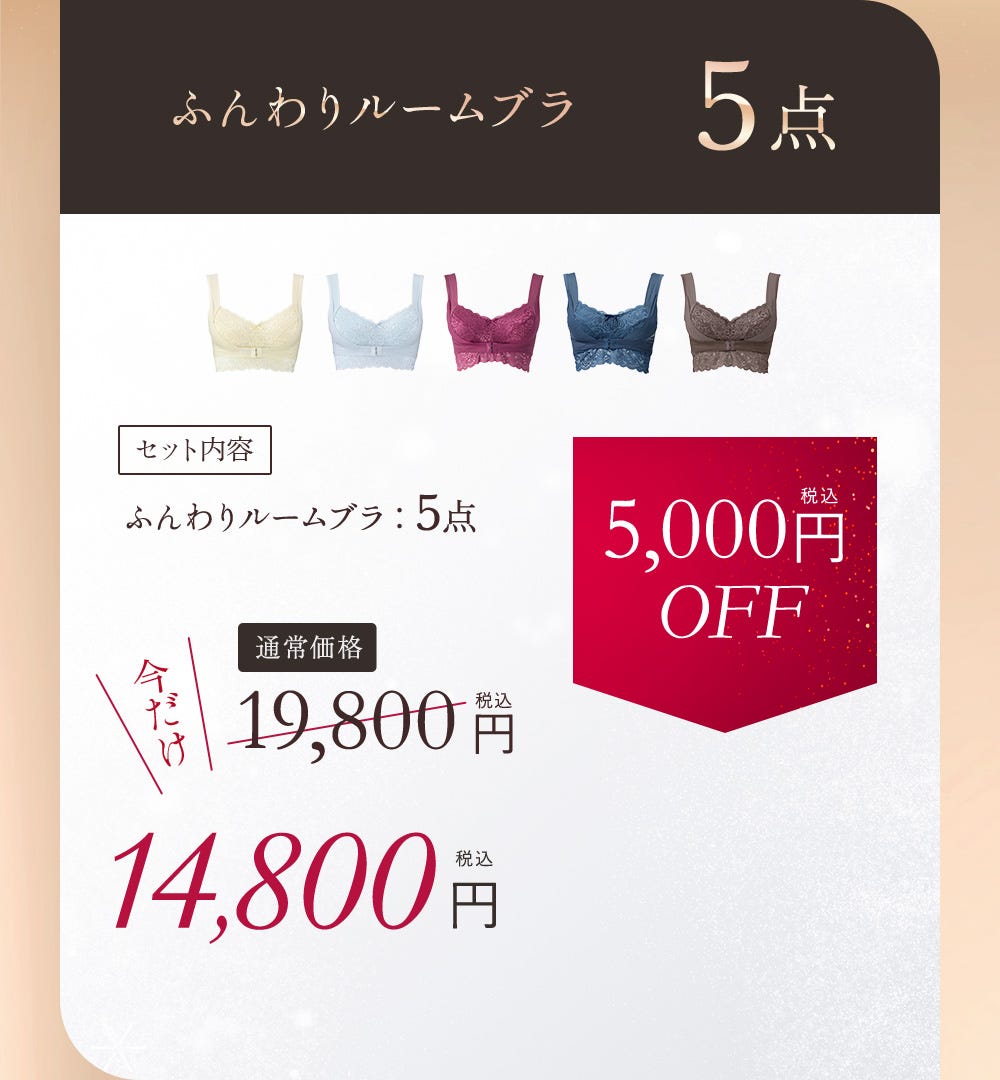 ふんわりルームブラ 5点 セット内容 ふんわりルームブラ：5点 通常価格19,800円 今だけ14,800円（税込） 5,000円（税込）OFF