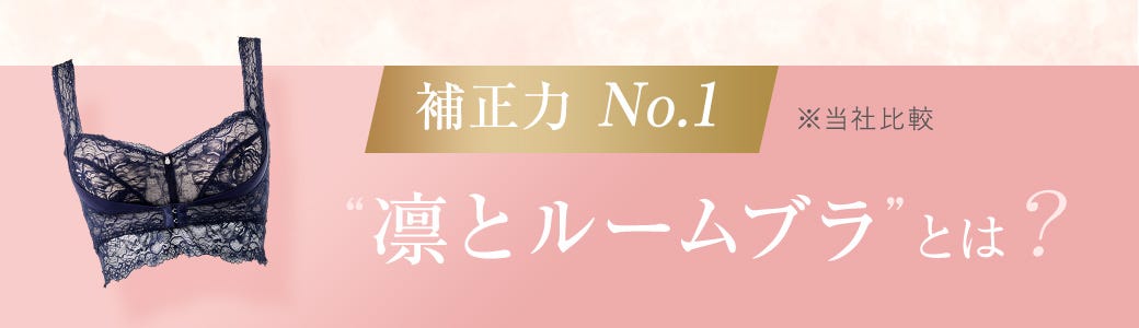 補正力No.1 ※当社比較 “凛とルームブラ”とは？