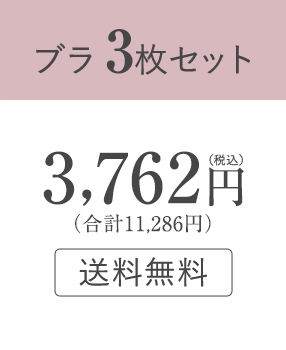 ブラ3枚セット：3,762円（税込）（合計11,286円）送料無料