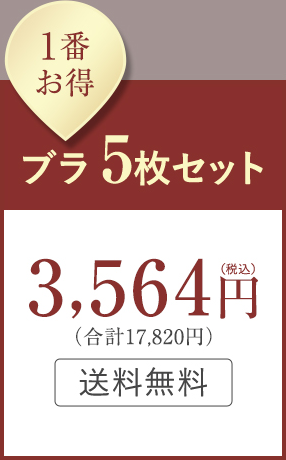 1番お得 ブラ5枚セット：3,564円（税込）（合計17,820円）送料無料