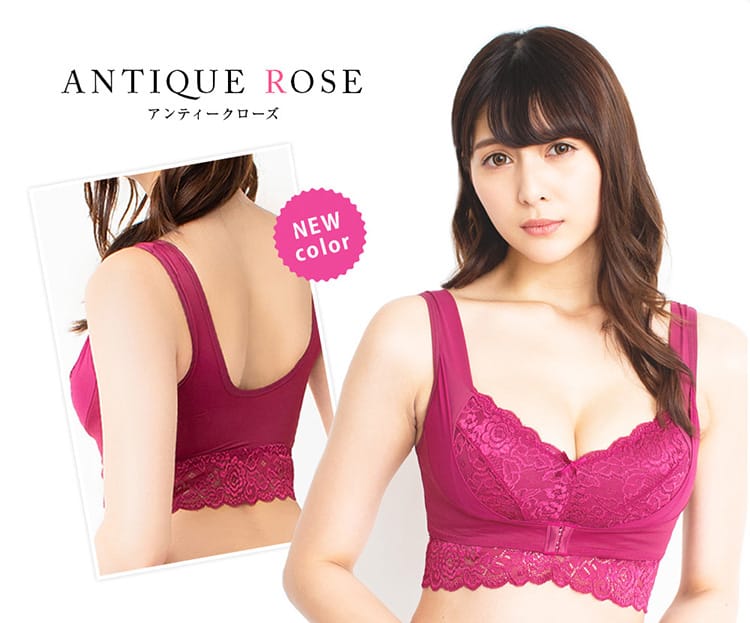 ANTIQUE ROSE アンティークローズ
