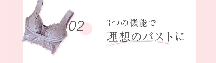 02 3つの機能で理想のバストに