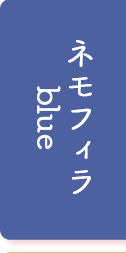 ネモフィラ