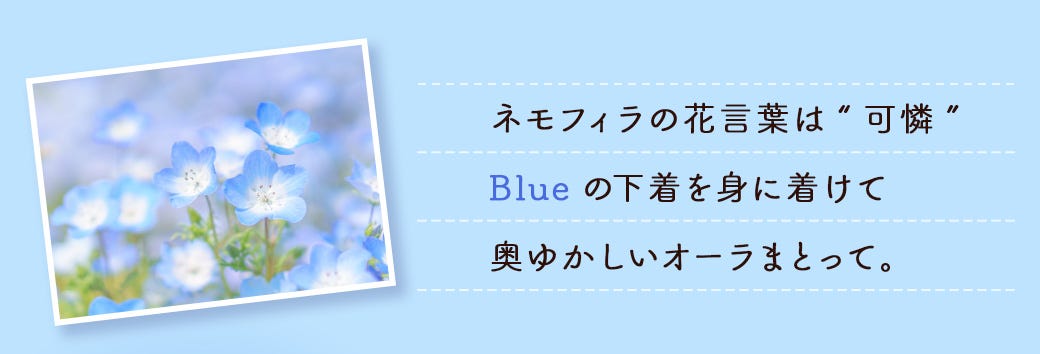ネモフィラの花⾔葉は“可憐” Blueの下着を⾝に着けて 奥ゆかしいオーラまとって。