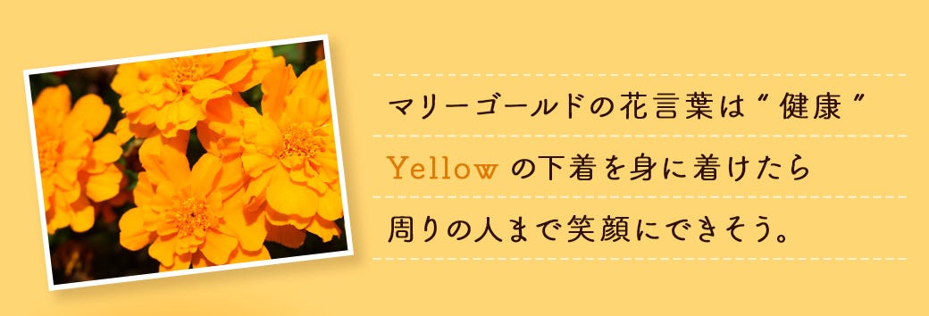 マリーゴールドの花⾔葉は“健康” Yellowの下着を⾝に着けたら 周りの人まで笑顔にできそう。